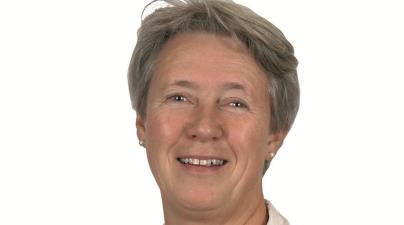 Lenke til artikkel: Helt vilt i høst