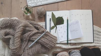 Lenke til artikkel: Ledig stilling: brukerstyrt personlig assistent