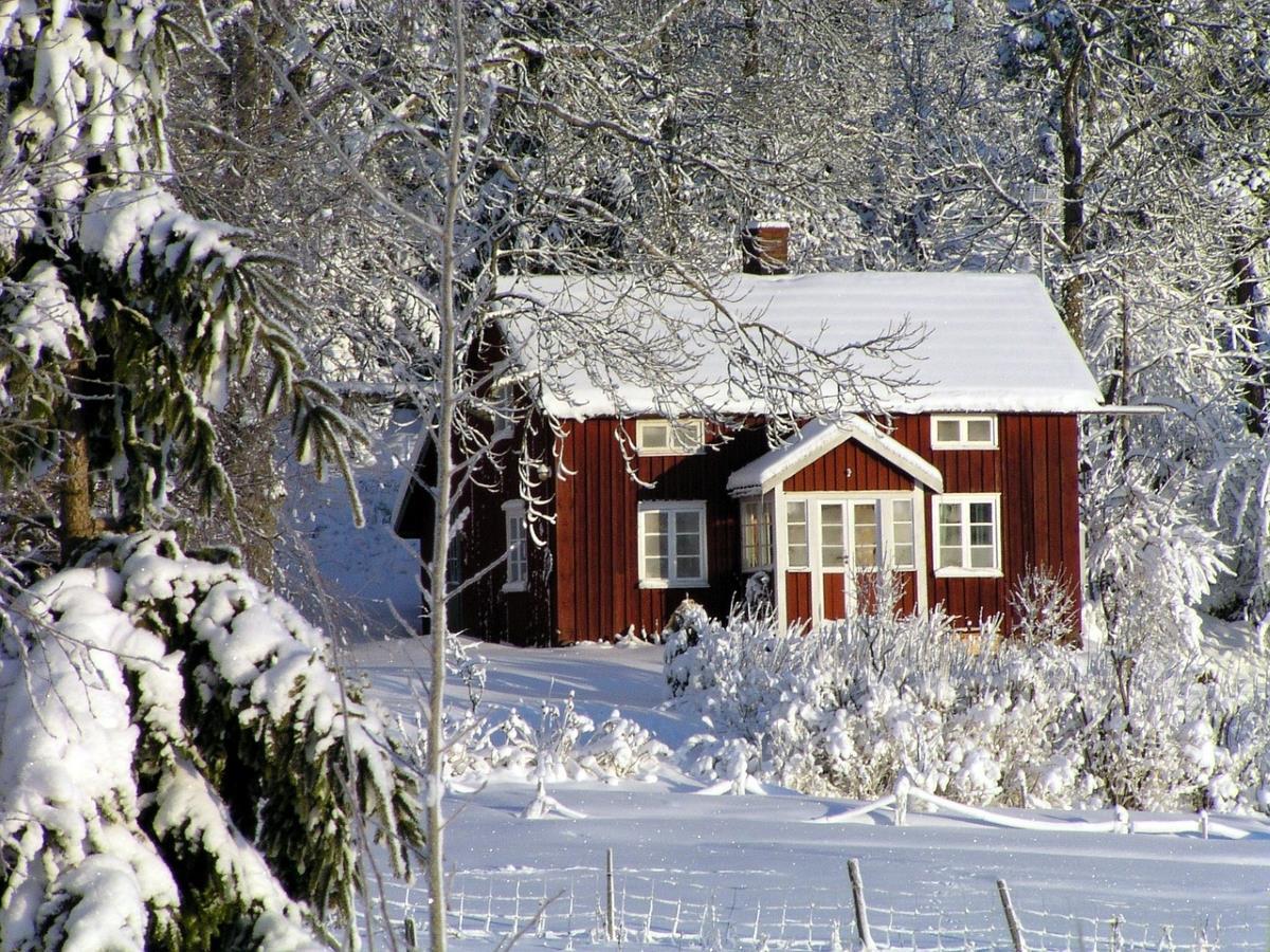 Rødt lite hus i skog med mye snø - Klikk for stort bilde