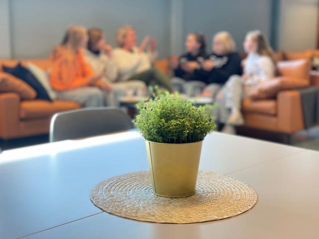 Dust bilde av fem personer i sofa - Klikk for stort bilde