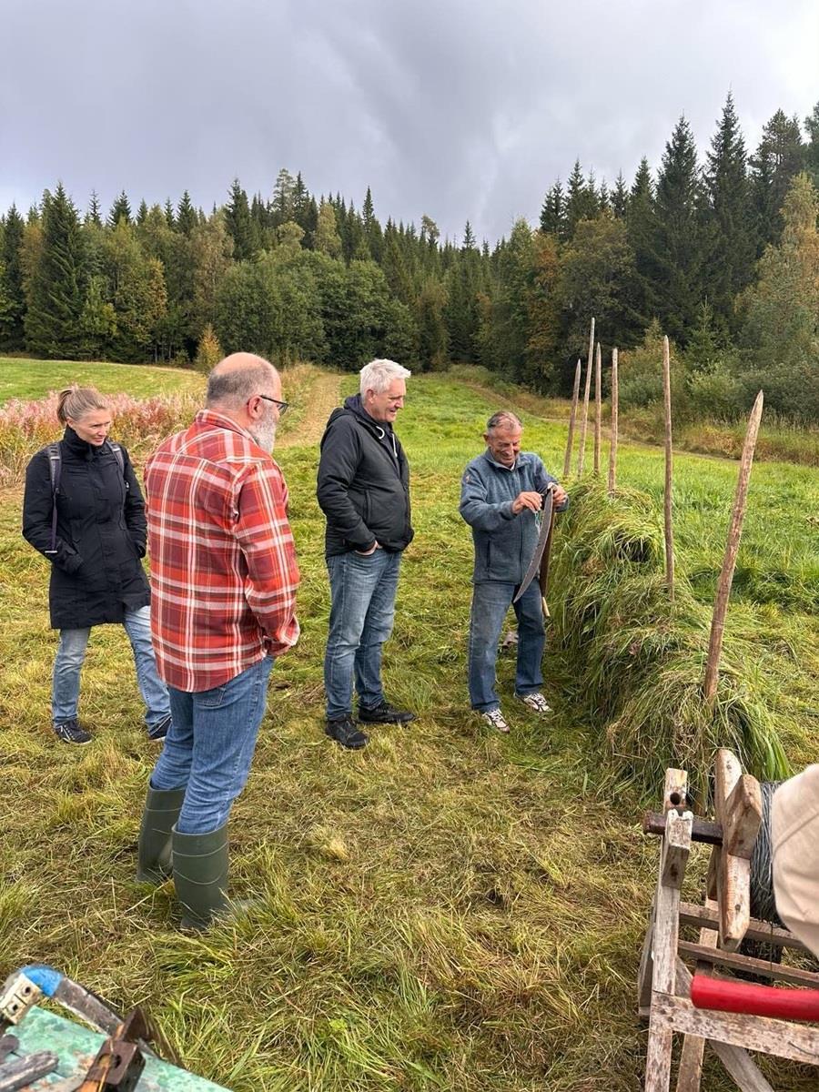 Mennesker som står og ser på ljåslått - Klikk for stort bilde