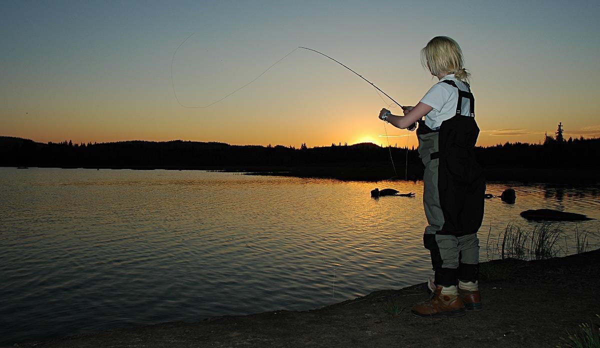 Jente fisker med fluestang i solnedgang - Klikk for stort bilde